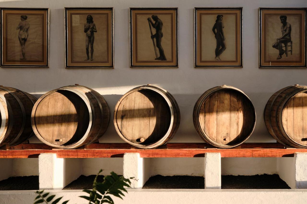 Ecofinca Aulaga Masdache Bagian luar foto