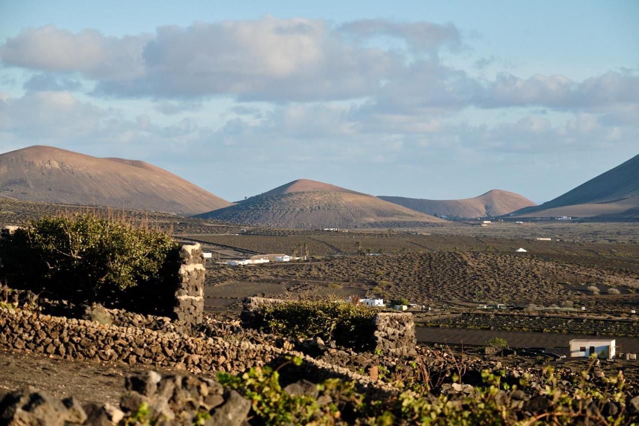 Ecofinca Aulaga Masdache Bagian luar foto