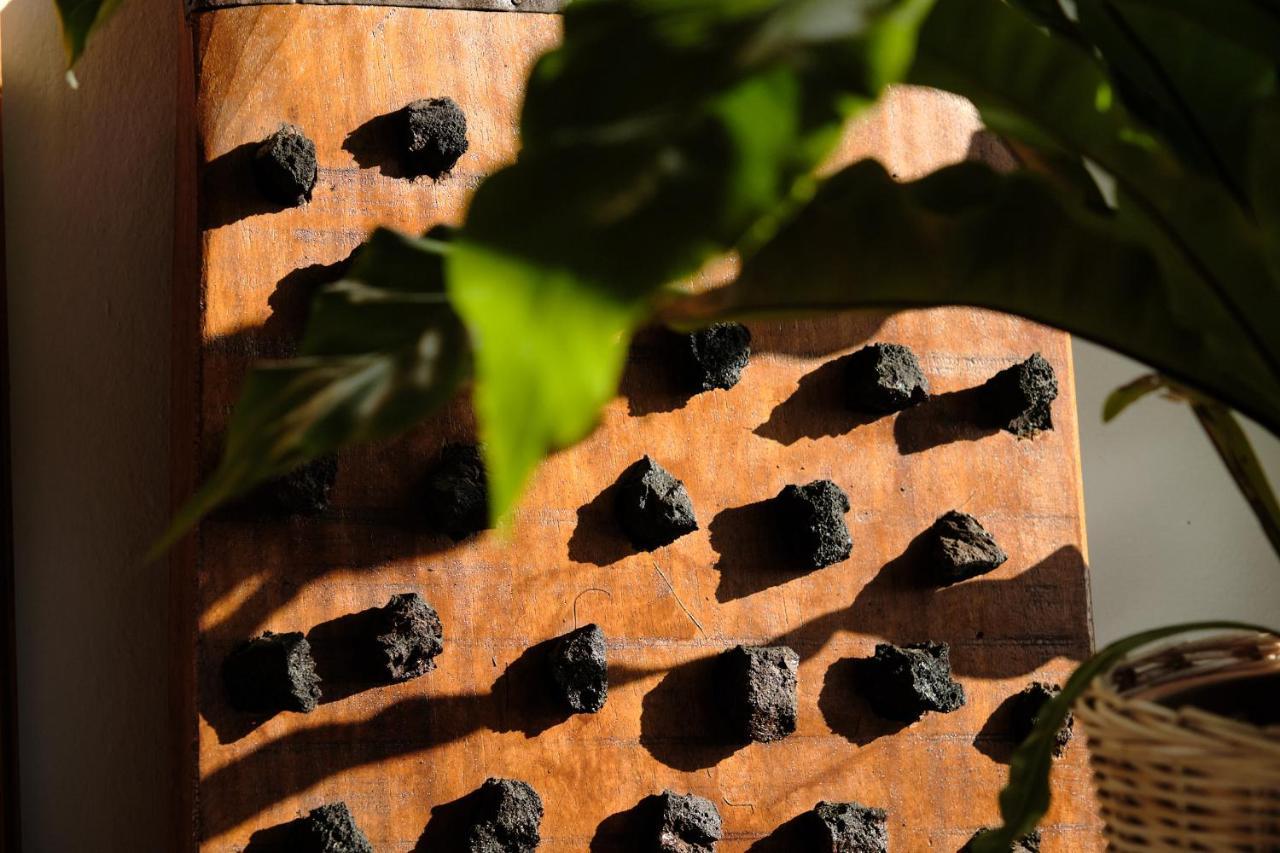 Ecofinca Aulaga Masdache Bagian luar foto